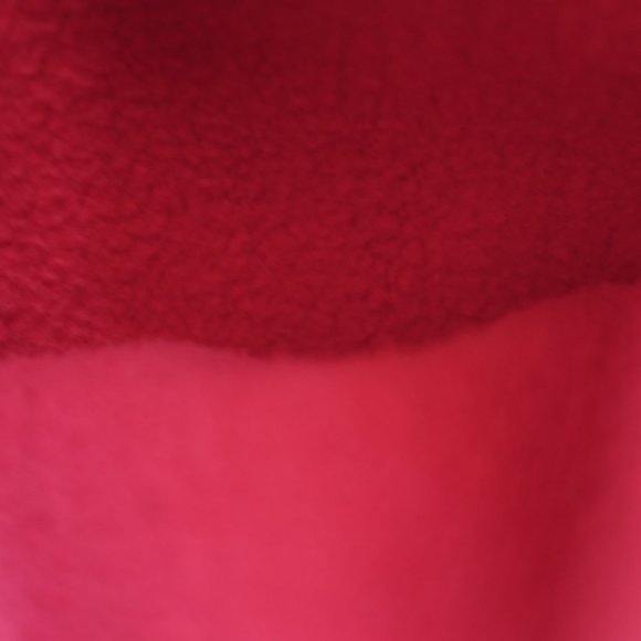 COPY - Champion red C-Life Reverse Weave C Logo Pull-Over Men's Hoodie fleece s… - Picture 11 of 12